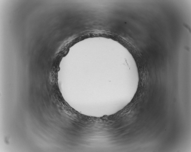 X0000099301207200805301126