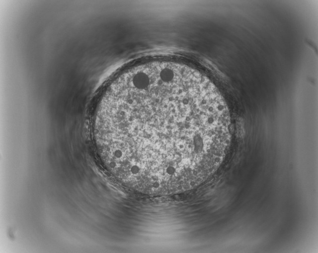 X0000099301208200805301126