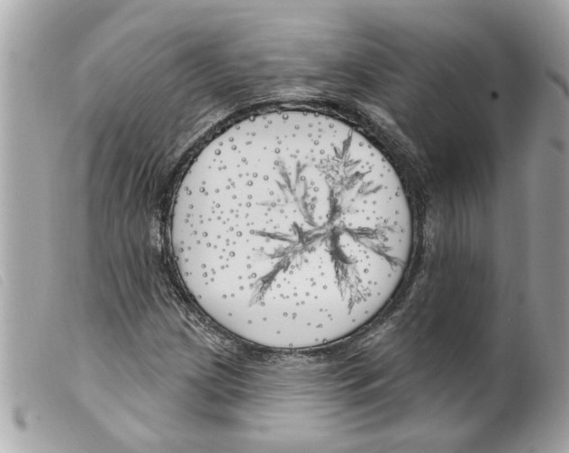 X0000099301209200805301126