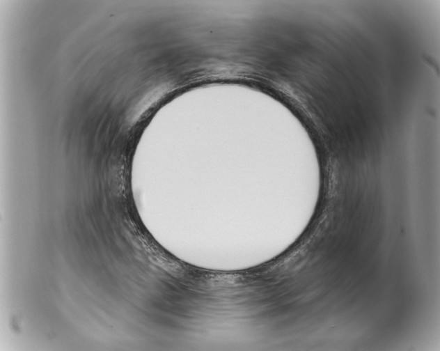 X0000099301211200805301126