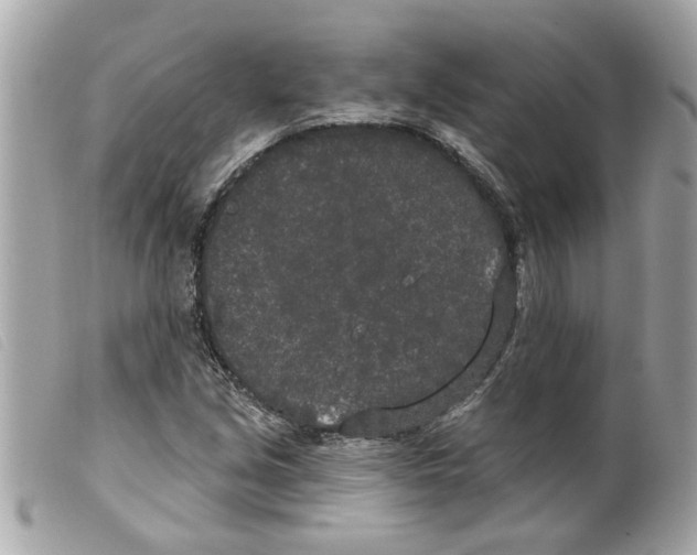 X0000099301213200805301126