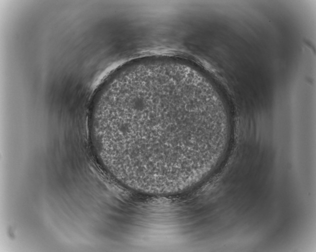 X0000099301214200805301126