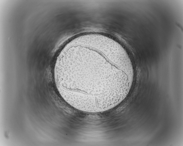 X0000099301215200805301126