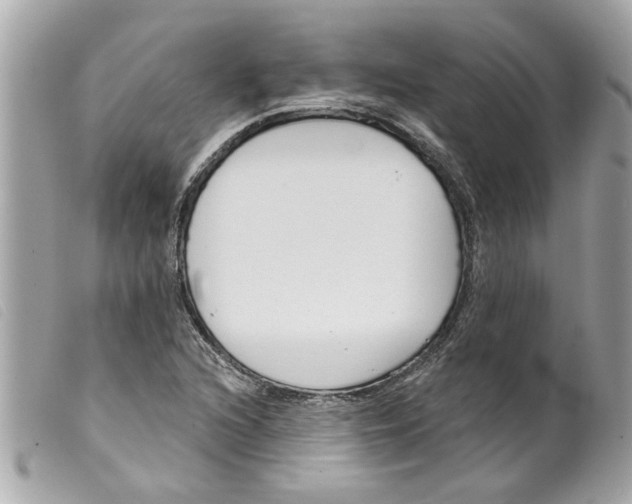 X0000099301216200805301126