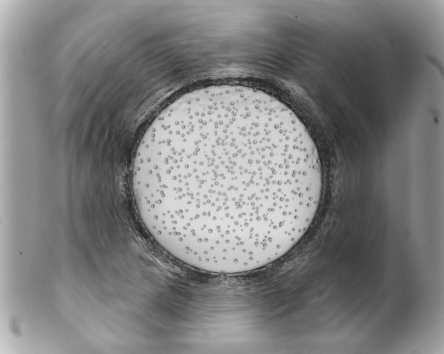 X0000099301217200805301126