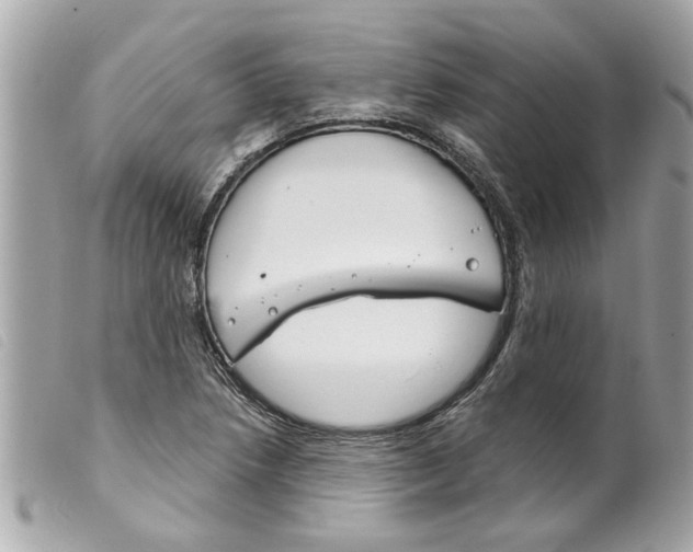 X0000099301218200805301126