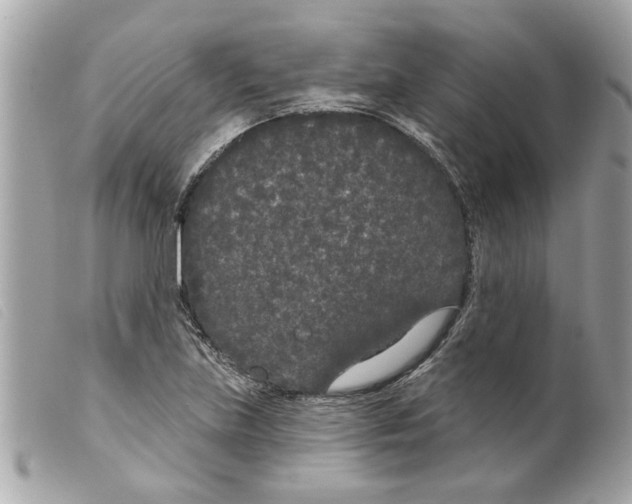 X0000099301219200805301126