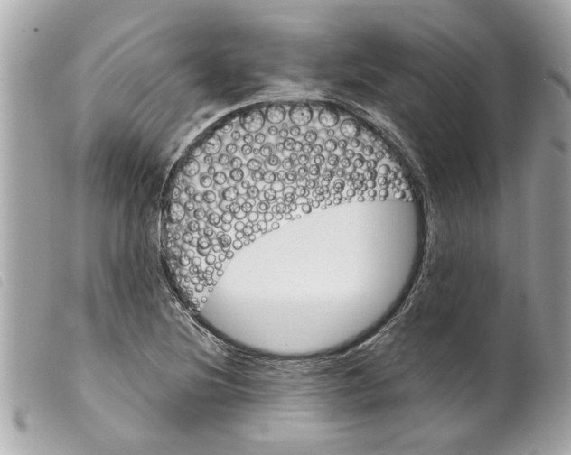 X0000099301220200805301126