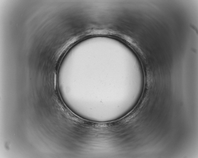 X0000099301221200805301126