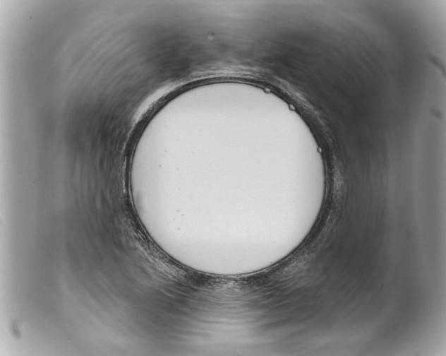 X0000099301222200805301126