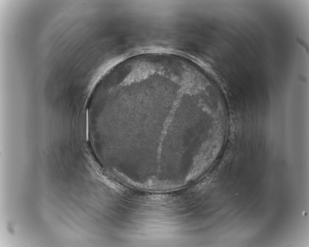 X0000099301223200805301126