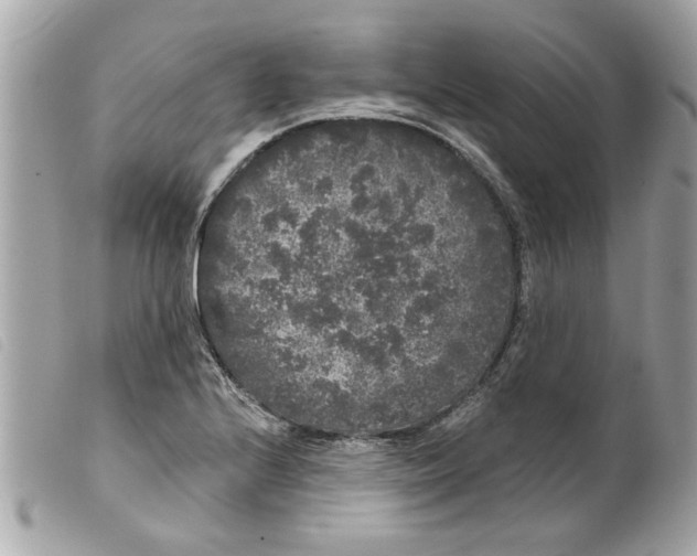 X0000099301224200805301126