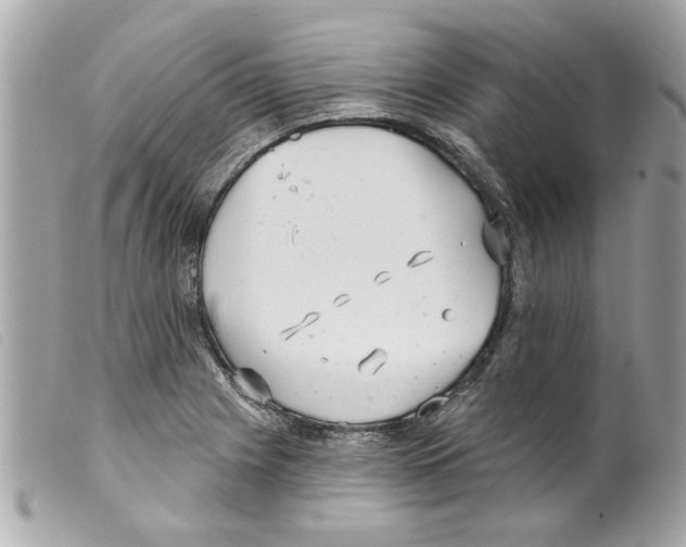 X0000099301225200805301126