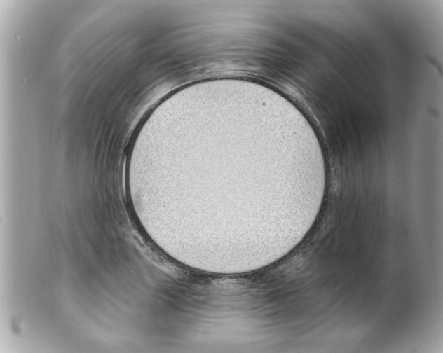 X0000099301227200805301126