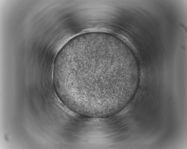 X0000099301228200805301126