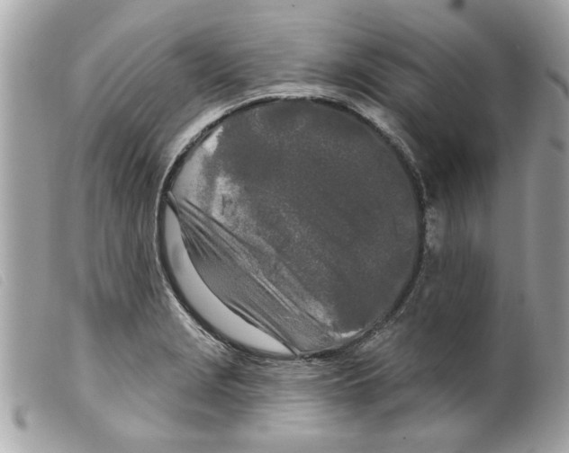 X0000099301229200805301126