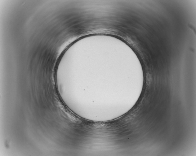 X0000099301230200805301126