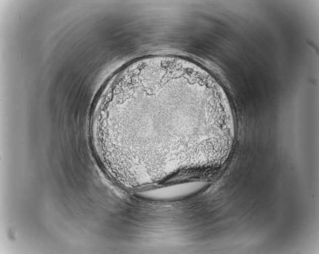 X0000099301231200805301126