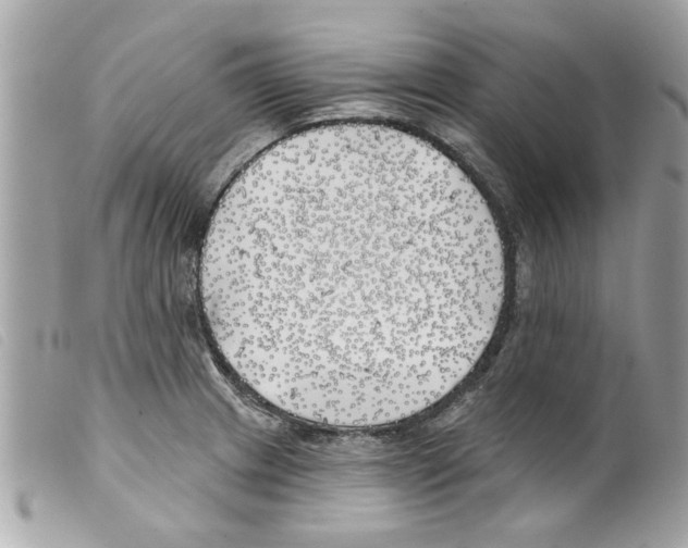 X0000099301233200805301126