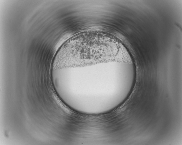 X0000099301234200805301126