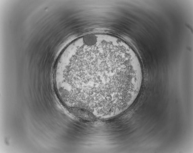 X0000099301235200805301126