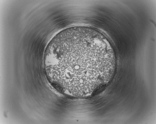 X0000099301236200805301126