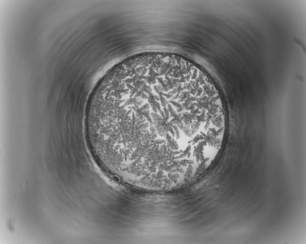 X0000099301237200805301126