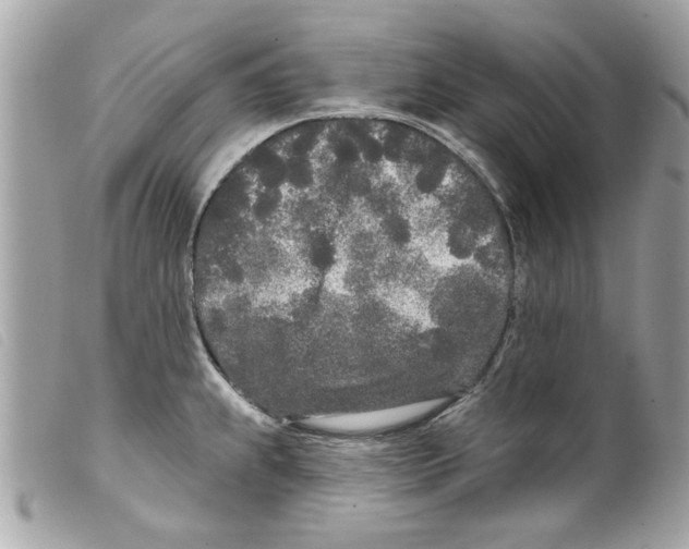 X0000099301239200805301126