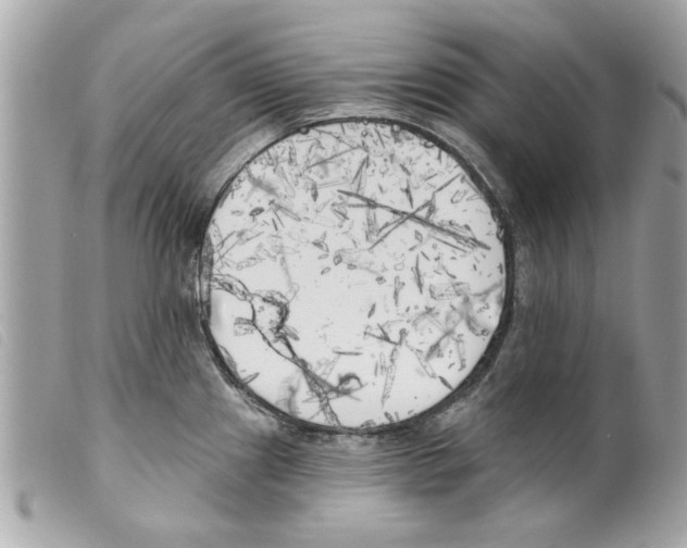 X0000099301241200805301126