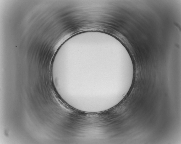 X0000099301242200805301126