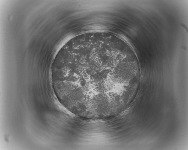 X0000099301243200805301127