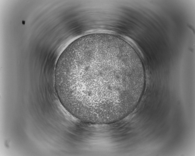 X0000099301244200805301127