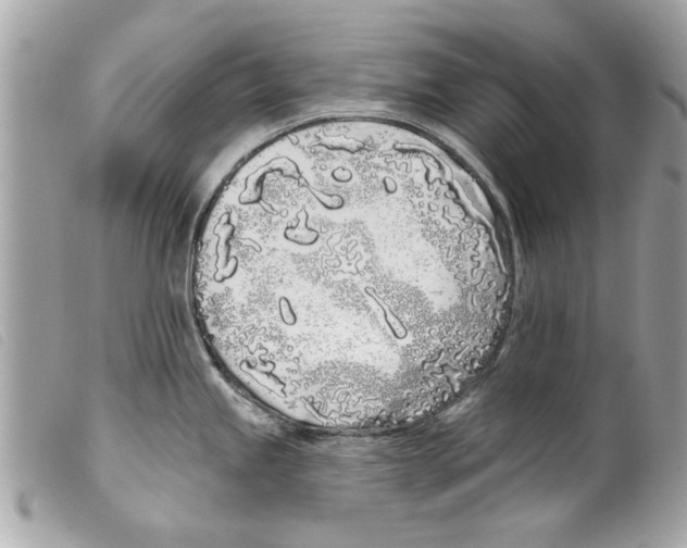 X0000099301245200805301127