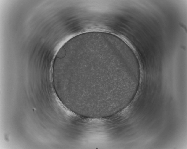 X0000099301246200805301127