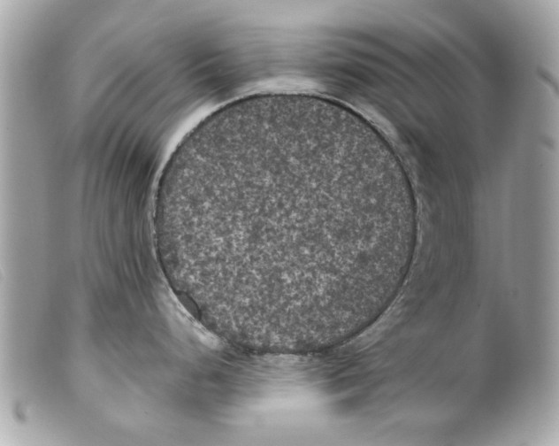 X0000099301248200805301127