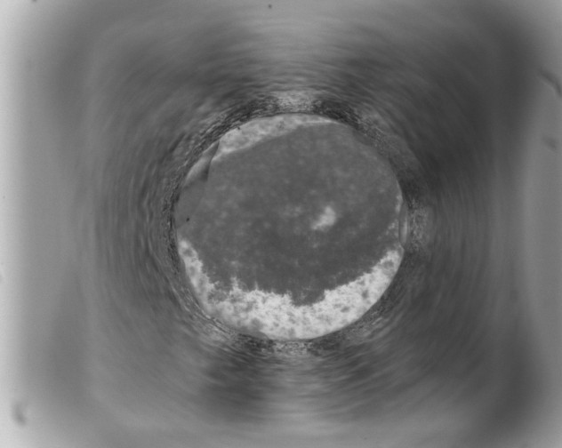 X0000099301249200805301126