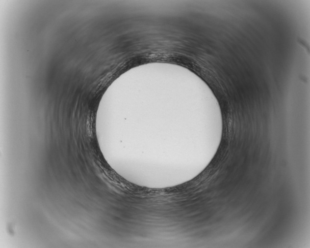 X0000099301250200805301126