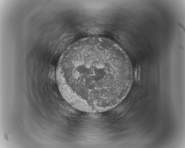 X0000099301251200805301126