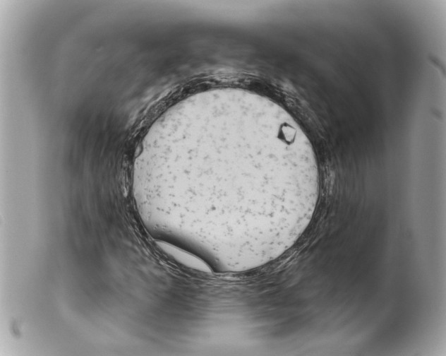 X0000099301253200805301126