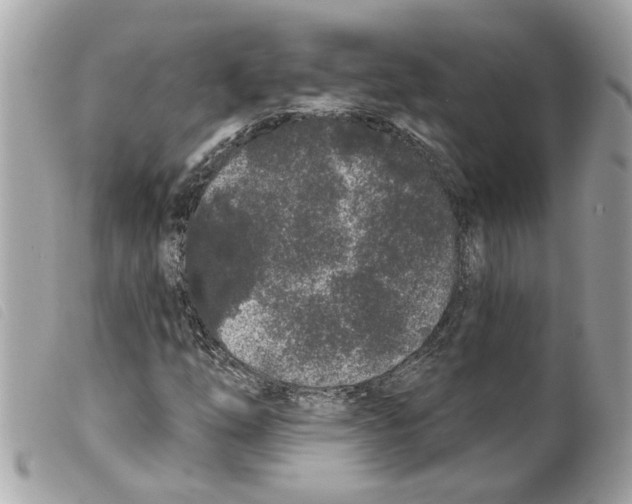 X0000099301254200805301126