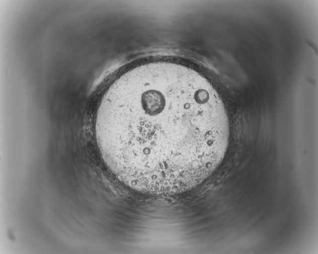 X0000099301255200805301126