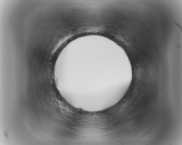 X0000099301256200805301126