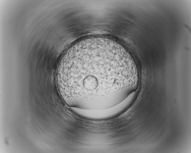 X0000099301257200805301126