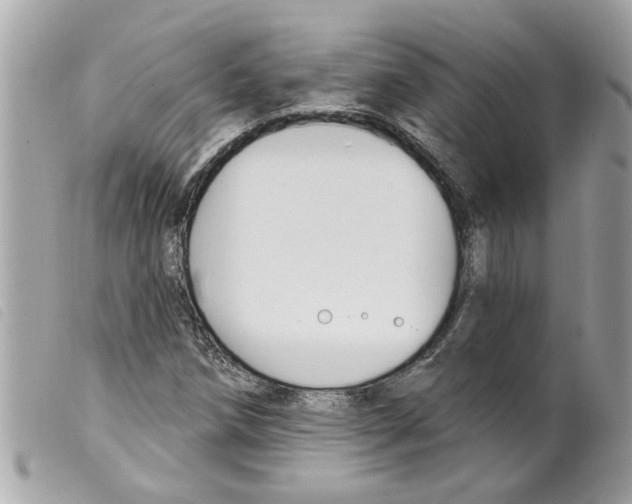 X0000099301258200805301126