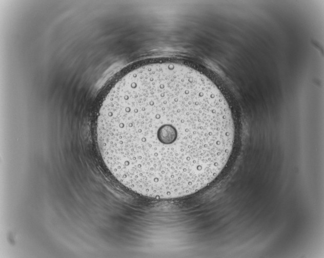 X0000099301259200805301126