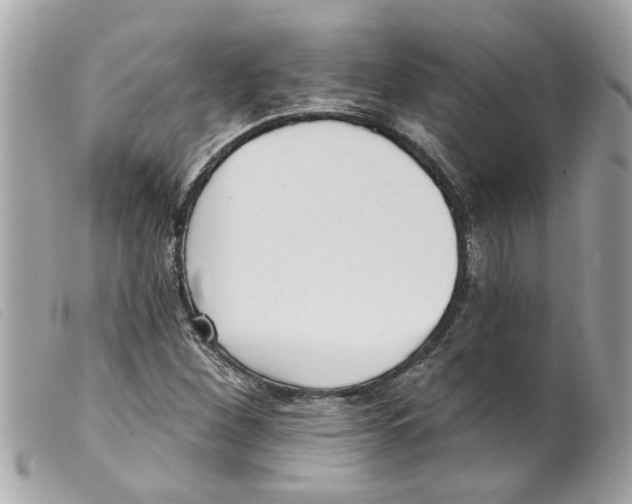 X0000099301260200805301126