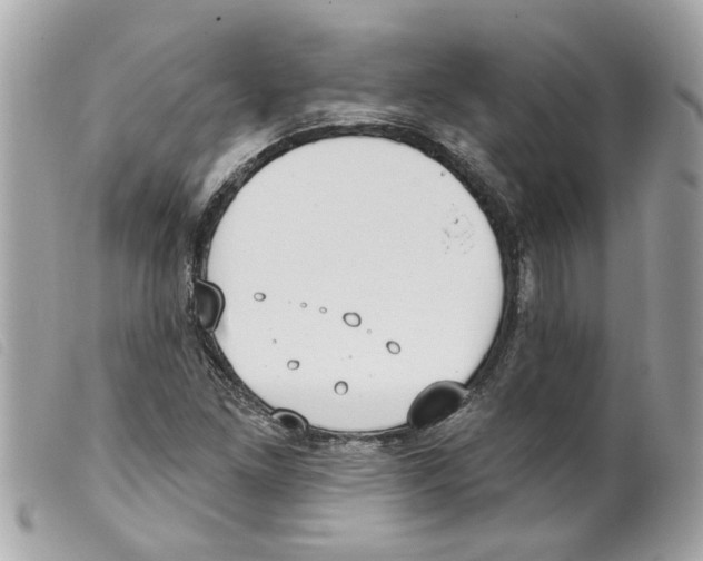 X0000099301261200805301126