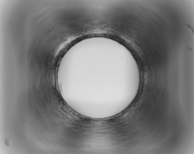 X0000099301262200805301126