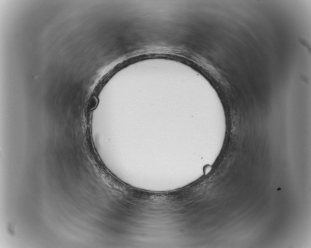 X0000099301264200805301126