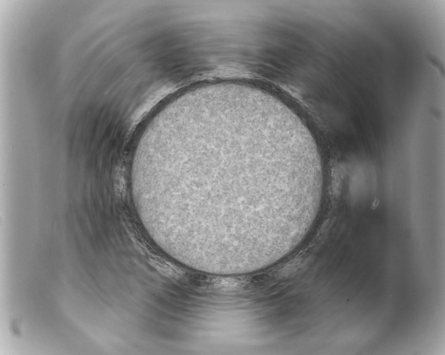 X0000099301266200805301126